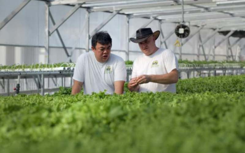 Grow your own: Urban farming flourishes in coronavirus lockdowns
