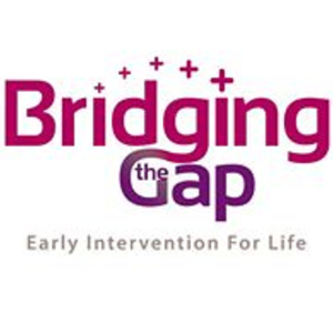 Bridging the Gap